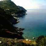 Relitti navi Isola d'Elba